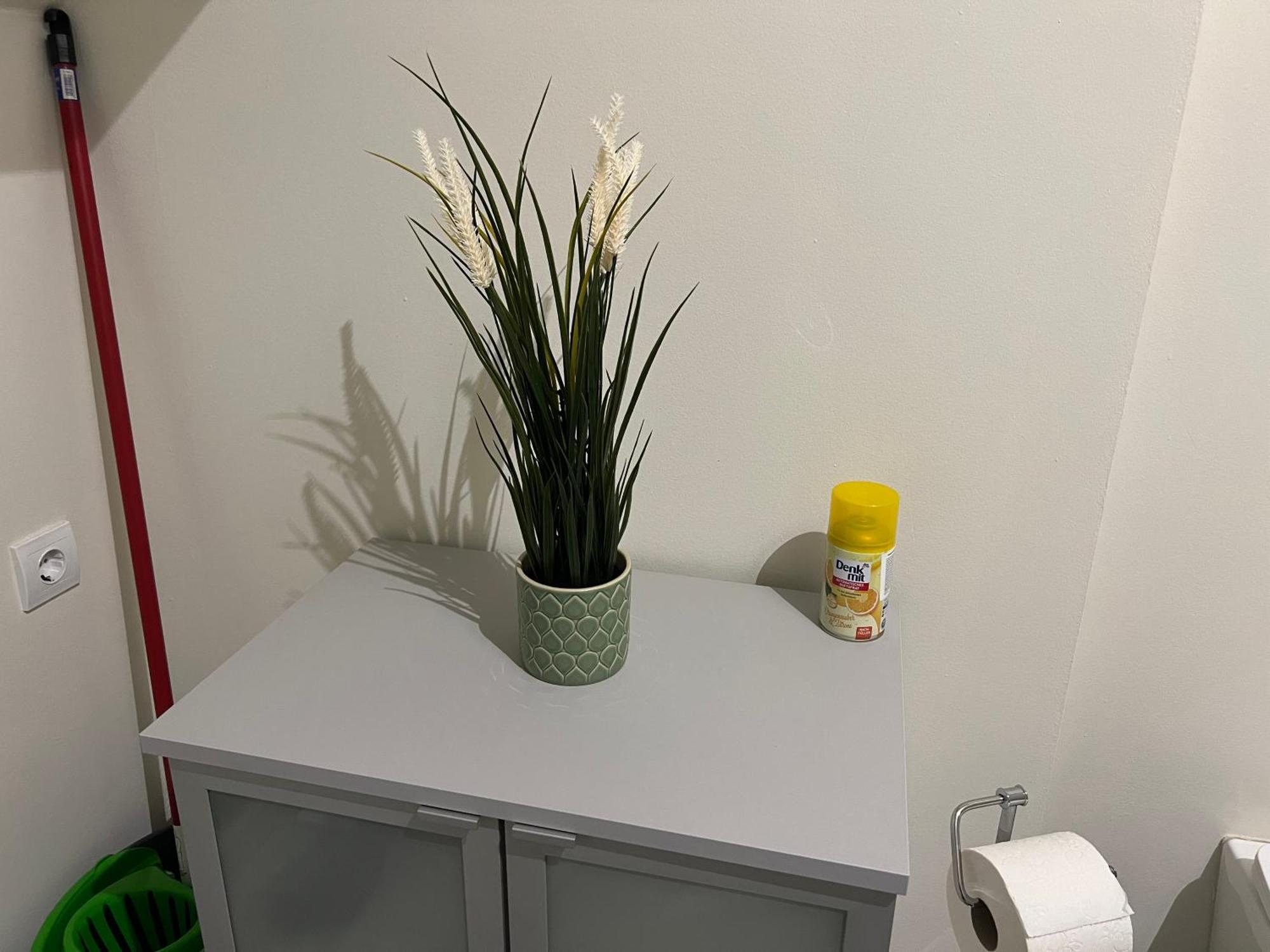 Buekkoes Apartman Apartment Szentendre Luaran gambar